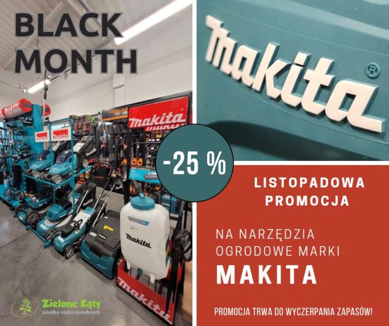 Read more about the article Narzędzia MAKITA -25%