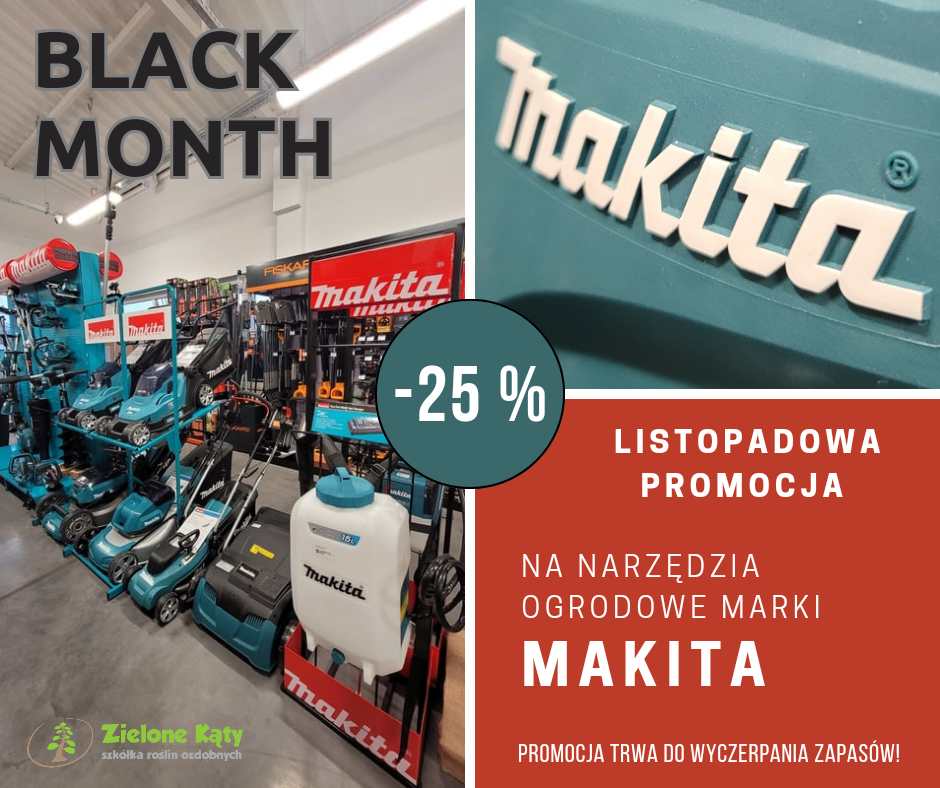 Read more about the article Narzędzia MAKITA -25%