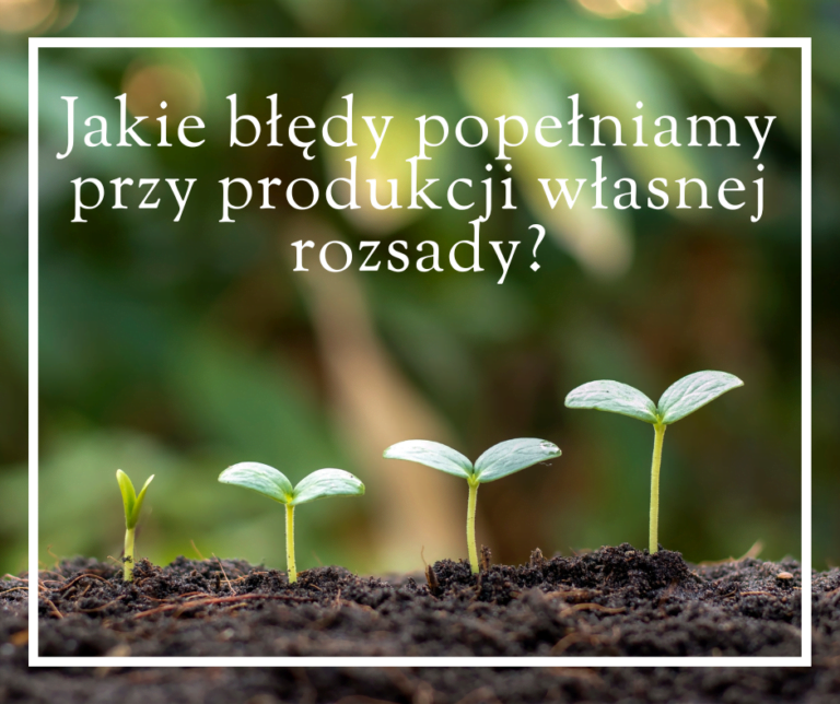 Read more about the article Jakie błędy popełniamy przy produkcji własnej rozsady?